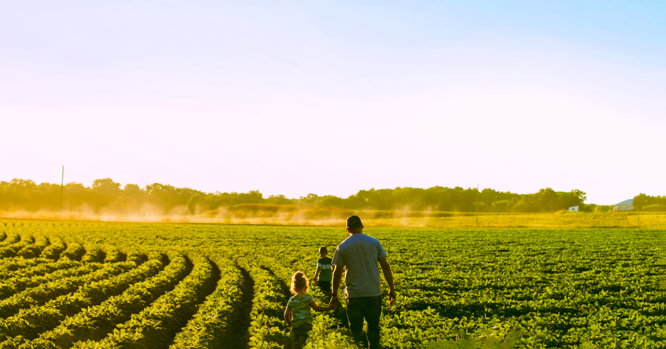 TGA grower family walking crop field implements regenerative solutions to improve soil and plant health