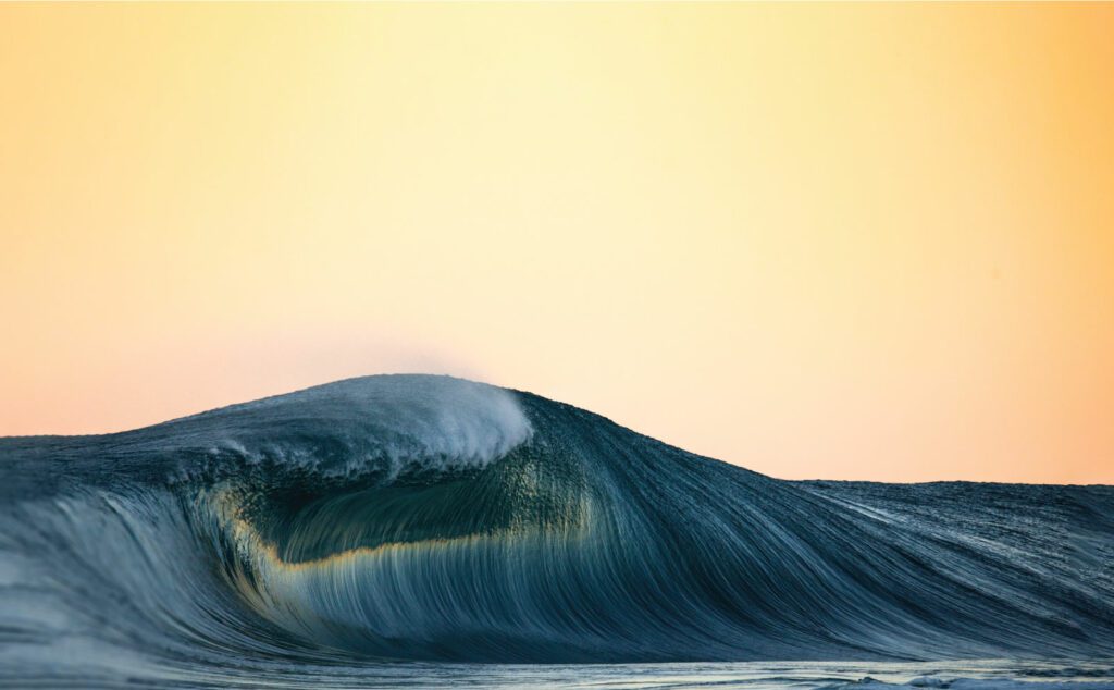 TideForce-Backdrop-wedge-med